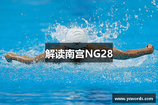 解读南宫NG28
